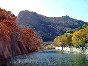 公司旅游通知模板（单位旅游通知怎么写）