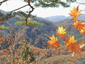 同安周边旅游景点大全（同安周边旅游景点大全图片）